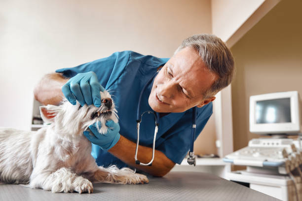 Best Emergency Dentist for Special Needs Patients in Culpeper, VA