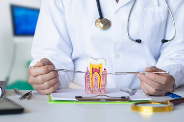Best Orthodontic Emergency Dentist in Culpeper, VA